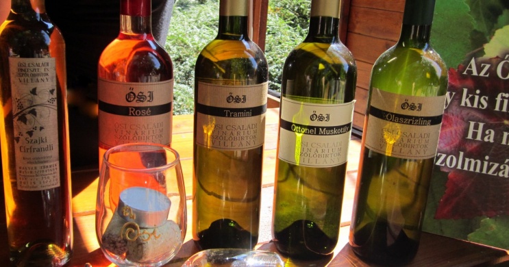 Ősi Anikó és Orsolya Pincészete