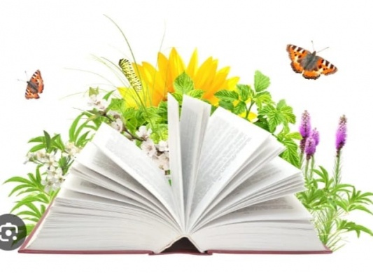 Községi Könyvtár Szorgalmatos