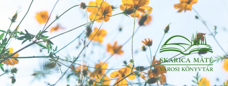 Skarica Máté Városi Könyvtár Ráckeve