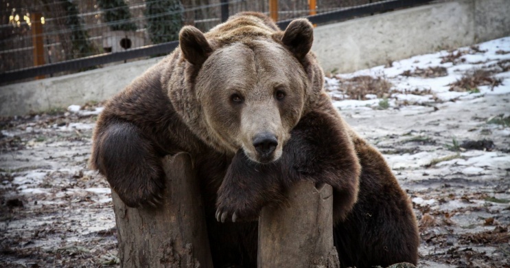 Pécs Zoo Pécsi Állatkert és Akvárium Terrárium
