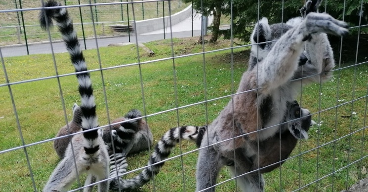 Veszprémi Állatkert