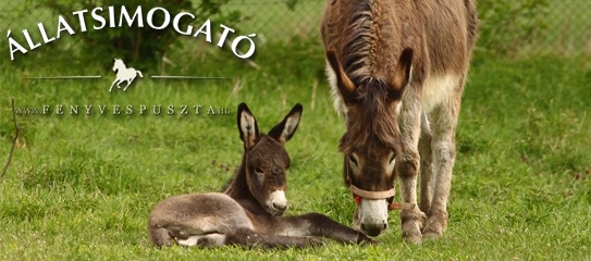 Állatsimogató Fenyvespuszta