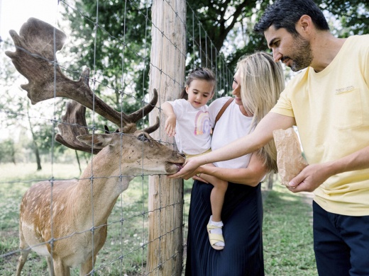 Festetics Imre Élményközpont Gyenesdiás