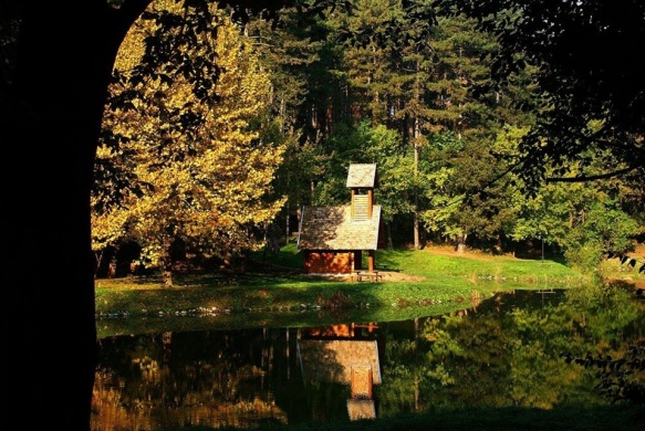 Tamási Parkerdő és Vadaspark