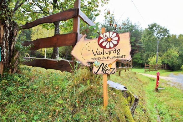 Vadvirág méhes- és gyógyítókert