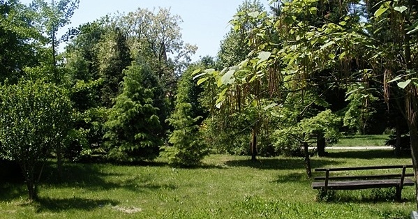 Irinyi arborétum Létavértes