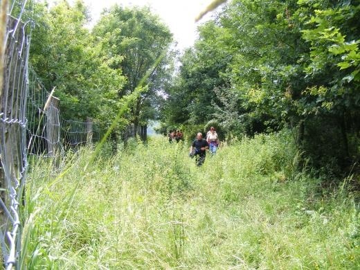 Alsóperei Parkerdő és arborétum Olaszfalu