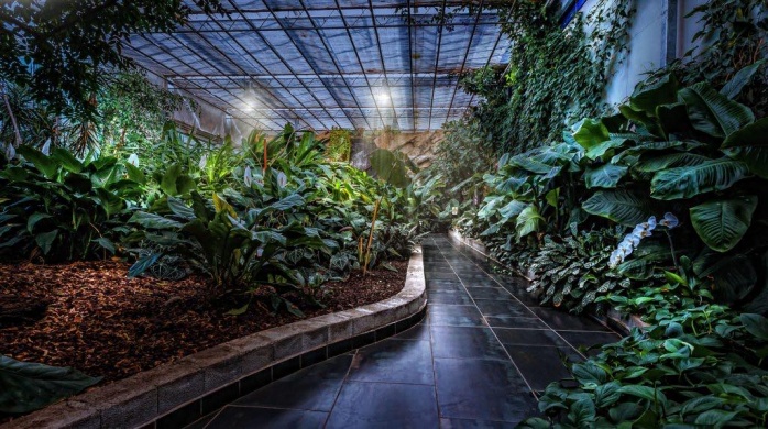 Trópusi Kert és Orchidea Farm Dobronak