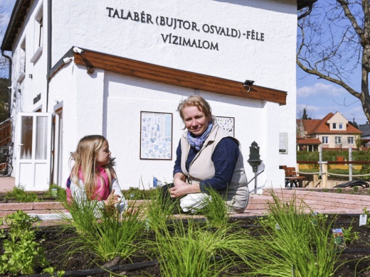 Diási vízimalom Pékmúzeum - Festetics Fűszerkert és Herbárium Gyenesdiás