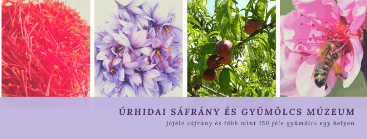 Úrhidai Sáfrány és Gyümölcs Múzeum