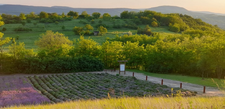Pálos Gyógynövénykert Kesztölc
