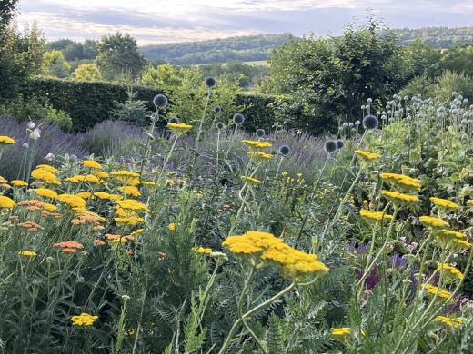 Pillangókert Isztimér