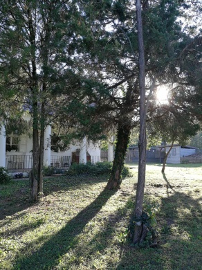 Levendulaház Közösségi Színtér- és Értéktár