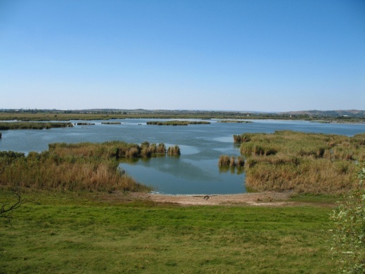 Velencei-tavi Madárrezervátum Természetvédelmi Terület