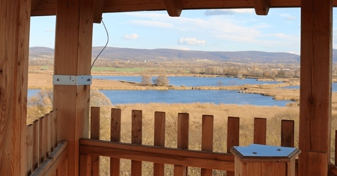 Erzsébet-kilátó Naszály