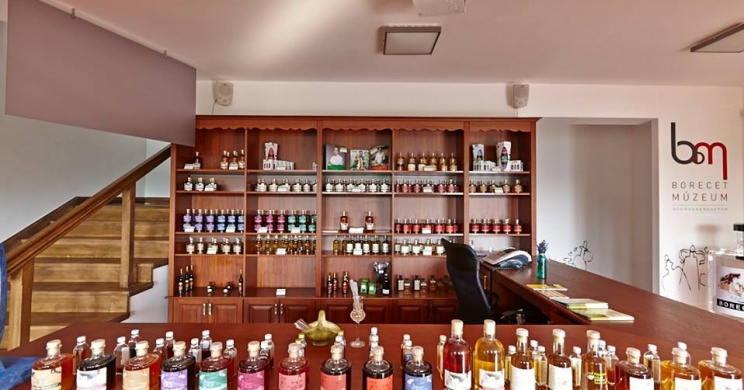 Acetánia Ecetmúzeum Bodrogkeresztúr