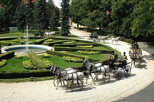 Bábolna Nemzeti Ménesbirtok