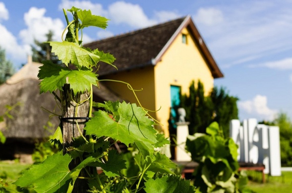 Darnay Pince és Pajtabisztró Gyenesdiás