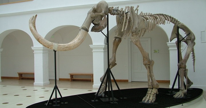 Mátra Múzeum Gyöngyös