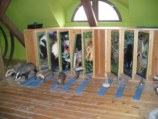 Bakonyi Erdők Háza Bakonybél