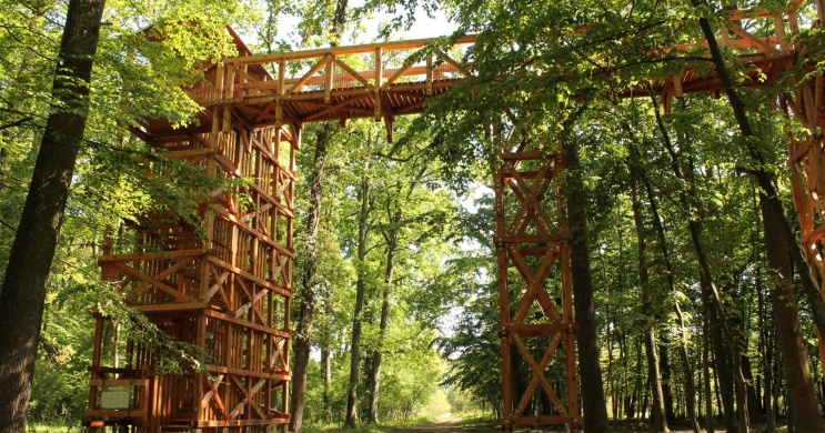 Lombkorona Tanösvény Kaszó