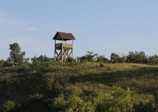 Négyszögletű Kerek Erdő tanösvény