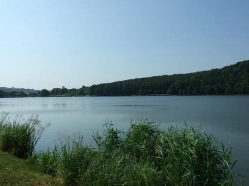 Harsányi Horgásztó