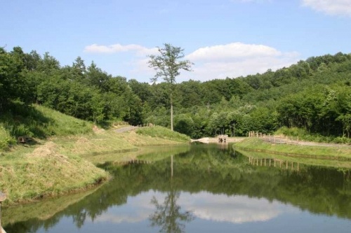 Annafürdő Parkerdő Horgásztó Lengyel
