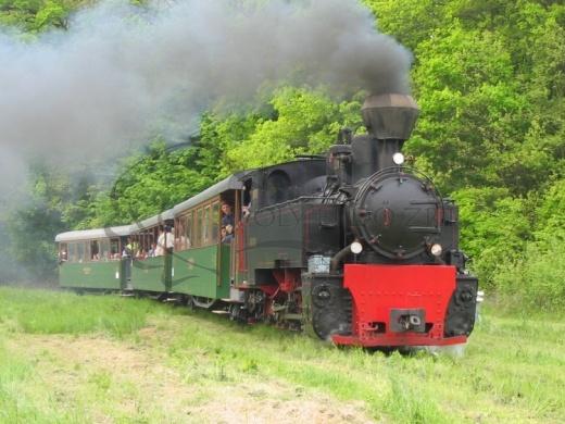 Kemencei Erdei Múzeumvasút