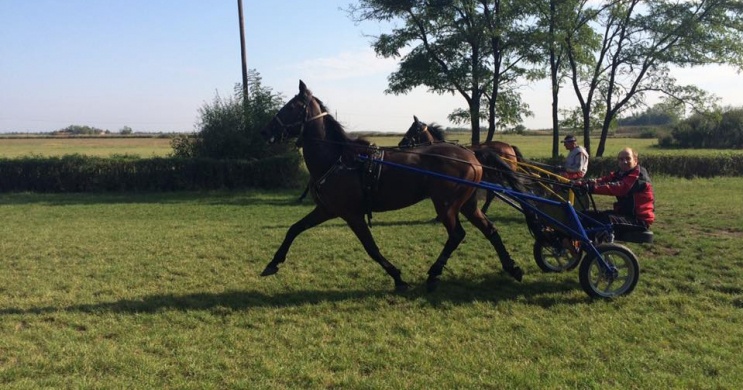 Orosházi Szabadidőpark és Lovassport Egyesület