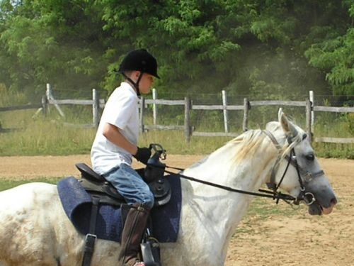 Gyémántpatkó Lovarda Kerepes
