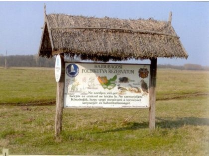 Hajdúbagosi Földikutya-rezervátum