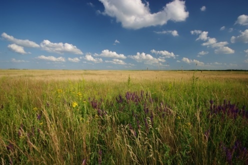 Malomházi tanösvény Hortobágy