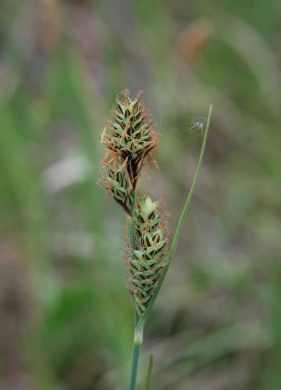 Jónásrészi tanösvény