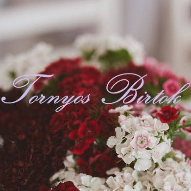 Tornyos Birtok Nyíregyháza