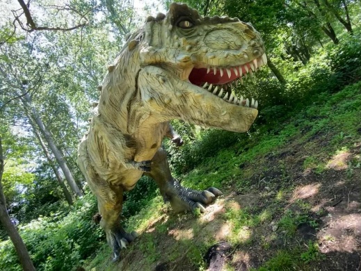 Cinemaqua Film- és Natúrpark Kisvárda