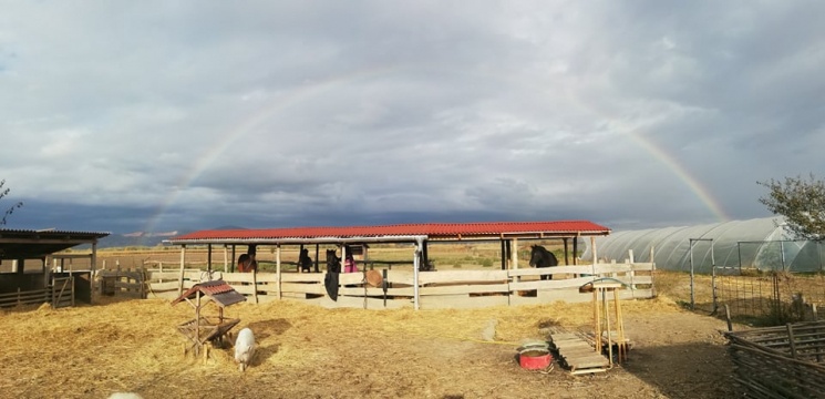 Sokszín Kertműhely Tahitótfalu