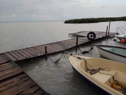 Balatonalmádi Sporthorgász Egyesület