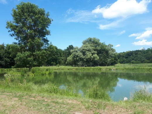 Kifoglak Horgásztó Csurgónagymarton