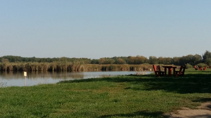 Reed Carp Lake