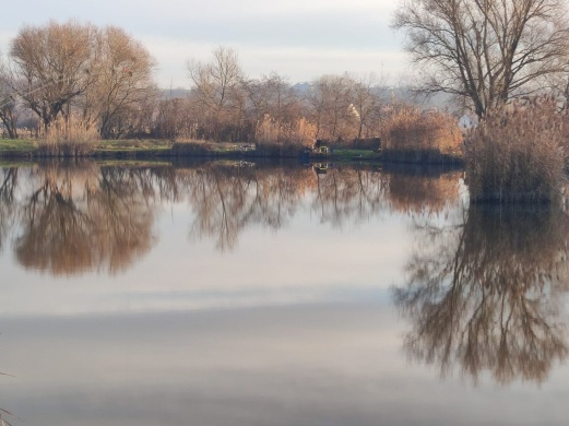 Hévízgyörki horgásztó