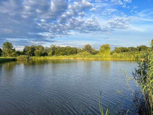 Daru-rét horgásztó Nyírjákó