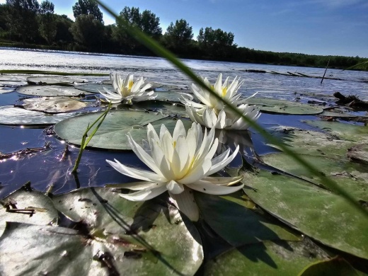 Hidegvölgyi Horgásztanya Semjén