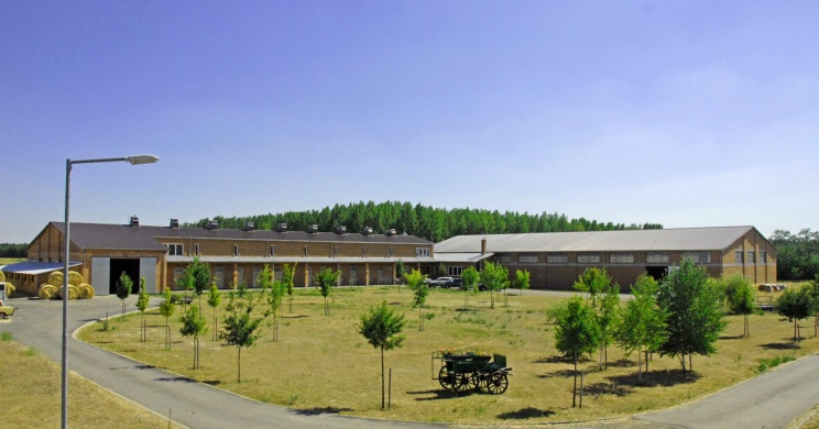 Nimród Lovarda Ócsa