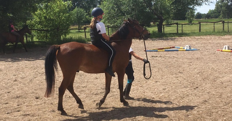 Equest Sport Lovarda Domaszék