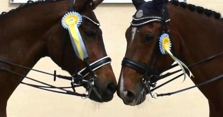 Ilona Major Szabadidő Központ