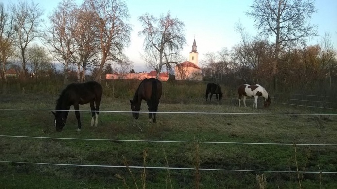 Czinege Lovarda Tiszavalk