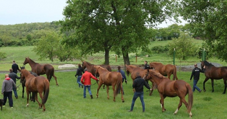 Lóska János Magánménese