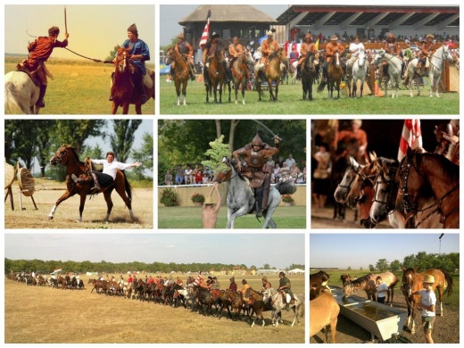 Pusztai Róka  Nomád Hagyományőrző Egyesület