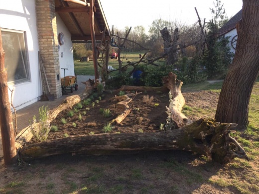 Csuda Csikó Tanya Csemő